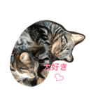 mocamugi（個別スタンプ：6）