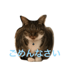 mocamugi（個別スタンプ：18）