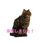 mocamugi（個別スタンプ：20）