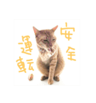 nyari.2（個別スタンプ：5）