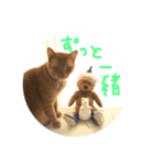 nyari.2（個別スタンプ：7）