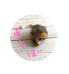 nyari.2（個別スタンプ：9）