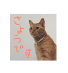 nyari.2（個別スタンプ：12）