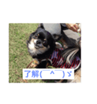 kotaro.kimerumoiruyo（個別スタンプ：2）