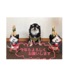 kotaro.kimerumoiruyo（個別スタンプ：6）