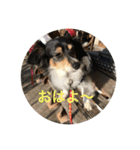 ナビスコの日常2（個別スタンプ：2）