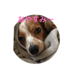 ナビスコの日常2（個別スタンプ：4）