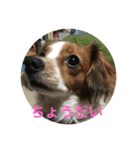 ナビスコの日常2（個別スタンプ：6）