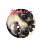ナビスコの日常2（個別スタンプ：9）