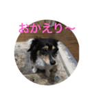 ナビスコの日常2（個別スタンプ：11）