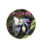 ナビスコの日常2（個別スタンプ：13）