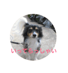 ナビスコの日常2（個別スタンプ：14）