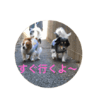 ナビスコの日常2（個別スタンプ：17）