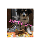 ナビスコの日常2（個別スタンプ：18）