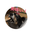 ナビスコの日常2（個別スタンプ：19）