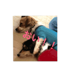 ナビスコの日常2（個別スタンプ：22）