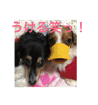ナビスコの日常2（個別スタンプ：24）