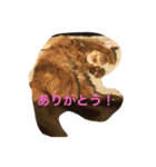 みるばにsisters（個別スタンプ：2）