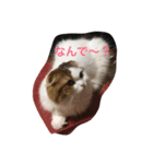 みるばにsisters（個別スタンプ：4）