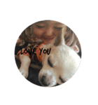 dog life with girl（個別スタンプ：2）