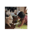 dog life with girl（個別スタンプ：3）