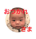 あおたん時々ひなたん（個別スタンプ：10）
