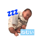 あおたん時々ひなたん（個別スタンプ：11）