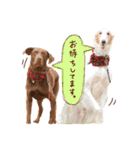 うちの大型犬（個別スタンプ：6）