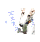 うちの大型犬（個別スタンプ：14）