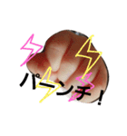 まるとパート2（個別スタンプ：23）