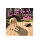 ステラとにゃん（個別スタンプ：8）