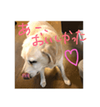 ステラとにゃん（個別スタンプ：14）