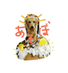 ふうちゃんスタンプ part2（個別スタンプ：6）
