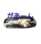 ふうちゃんスタンプ part2（個別スタンプ：9）