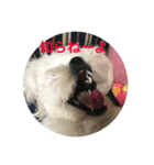 反抗期な犬（個別スタンプ：3）