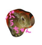 momotarou2（個別スタンプ：4）