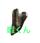 momotarou2（個別スタンプ：8）
