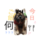 sora feat.Fuku（個別スタンプ：1）
