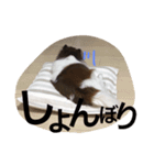 erisan110（個別スタンプ：5）