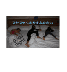 我が家のめんこい子供達（個別スタンプ：2）