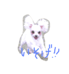 コッコ＆ラン＆モコ（個別スタンプ：4）