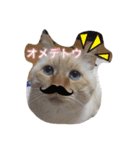 チビにゃんこ2＋α（個別スタンプ：9）