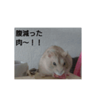 tikonnitizyou（個別スタンプ：1）