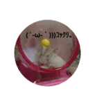 tikonnitizyou（個別スタンプ：2）