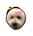 baby dog 1（個別スタンプ：3）