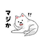 犬とか猫（個別スタンプ：17）