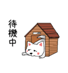 犬とか猫（個別スタンプ：28）