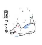 犬とか猫（個別スタンプ：33）