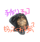 我が家のカメさんたち。バレンタイン編（個別スタンプ：5）