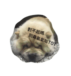 little dan（個別スタンプ：1）